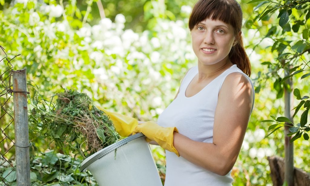 10 nepravdivých mýtov o kompostovaní
