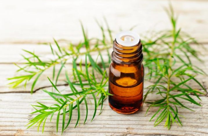 Kto vyhral v súťaži o ABC Tea Tree Oil