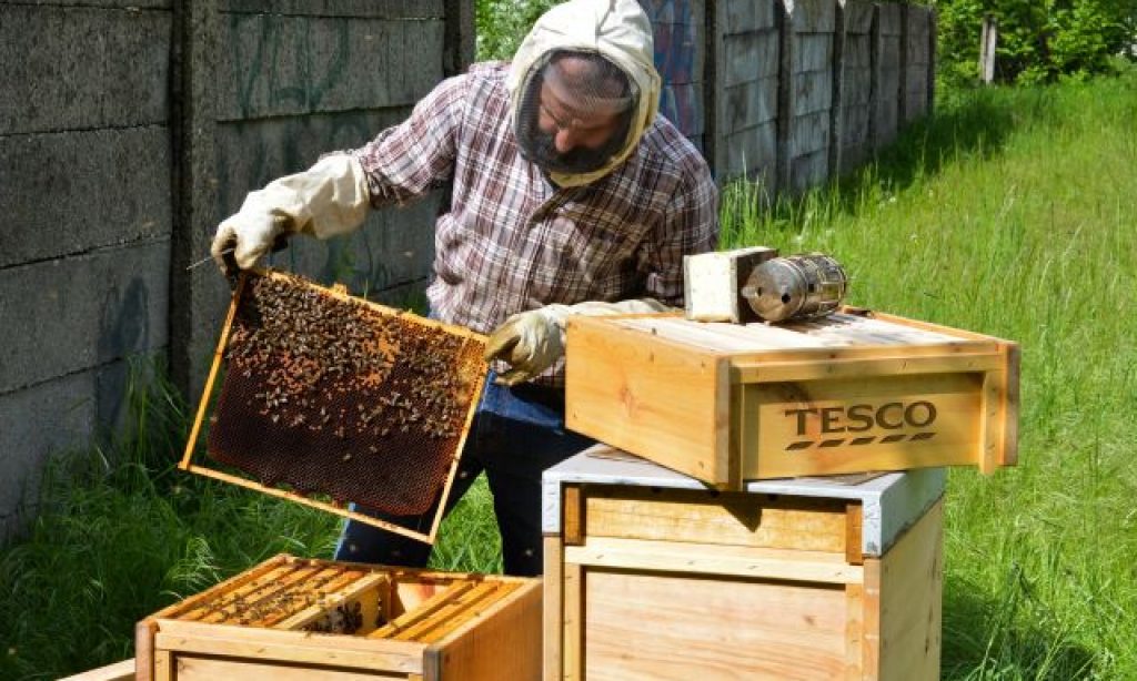 Tesco prekvapilo včelími úľmi pri obchode, pripomenulo si tak Svetový deň životného prostredia